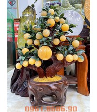 Cây đào đá ngọc hoàng long 38 quả